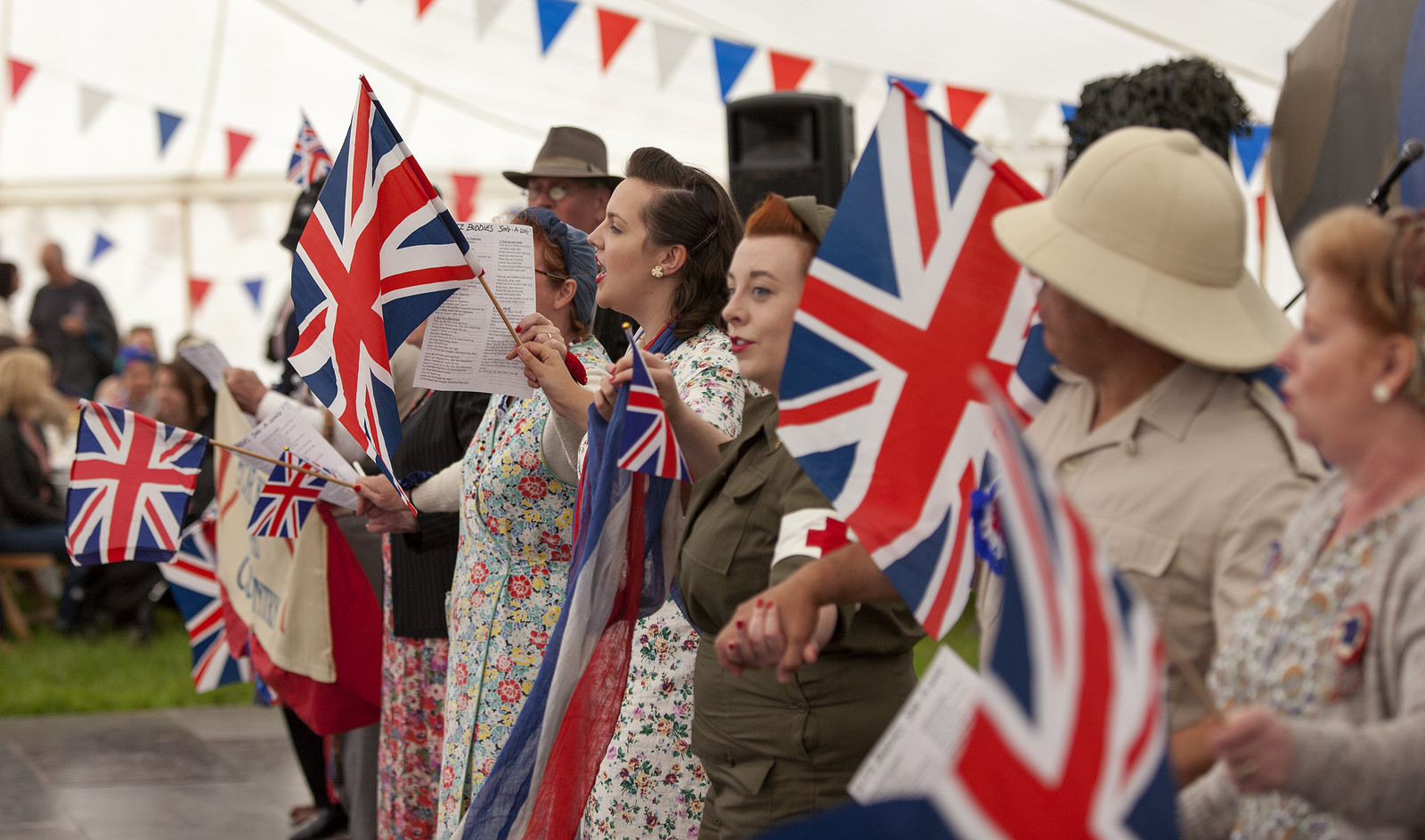 The Dig For Victory Show at Ashton Court