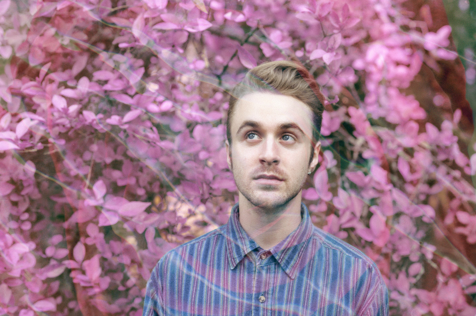 Hibou // Some Bodies at Crofters Rights