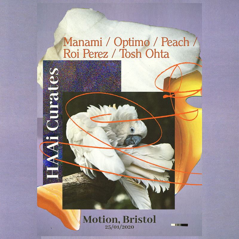 HAAi Curates at Motion