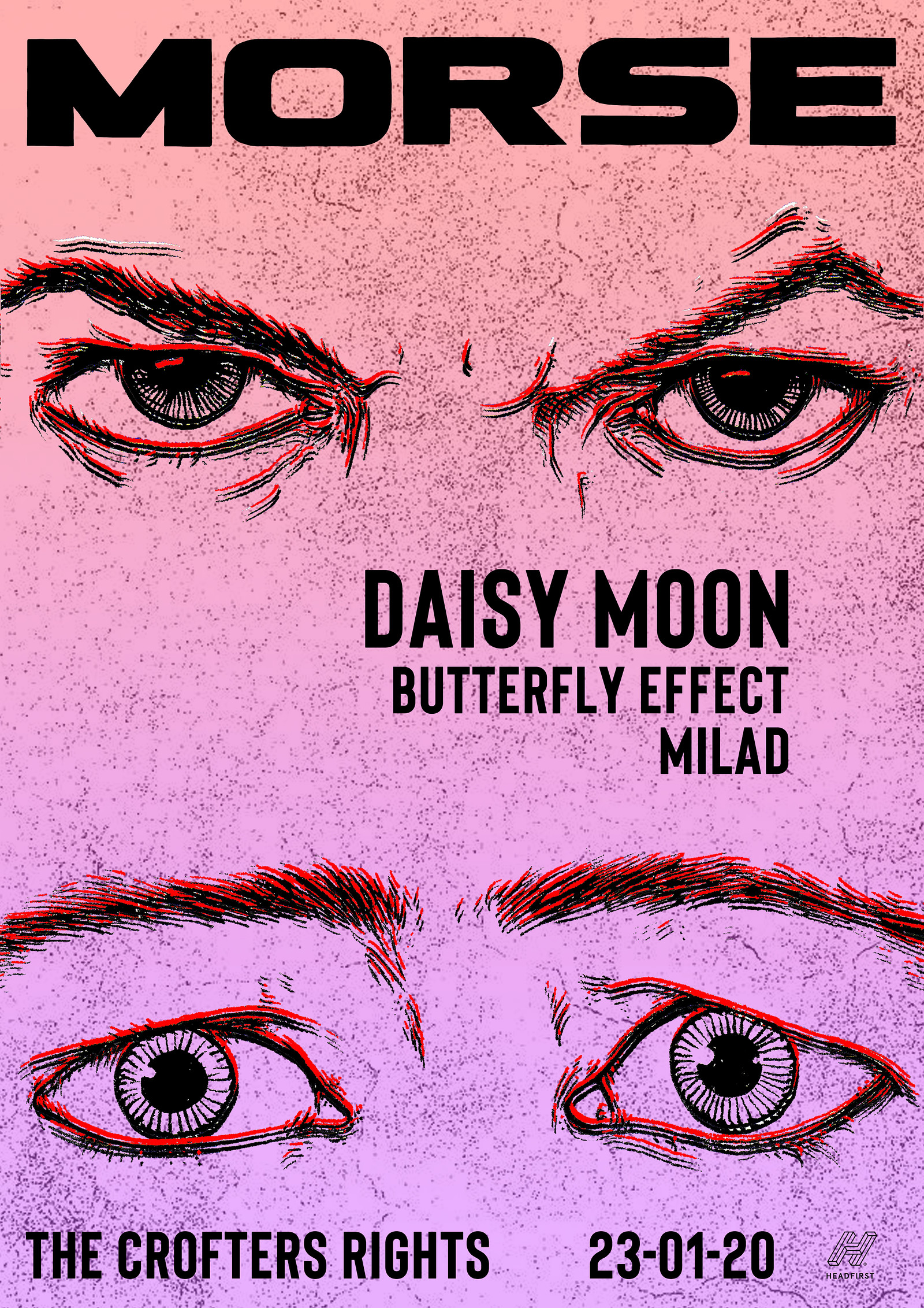 Morse: Daisy Moon at Crofters Rights
