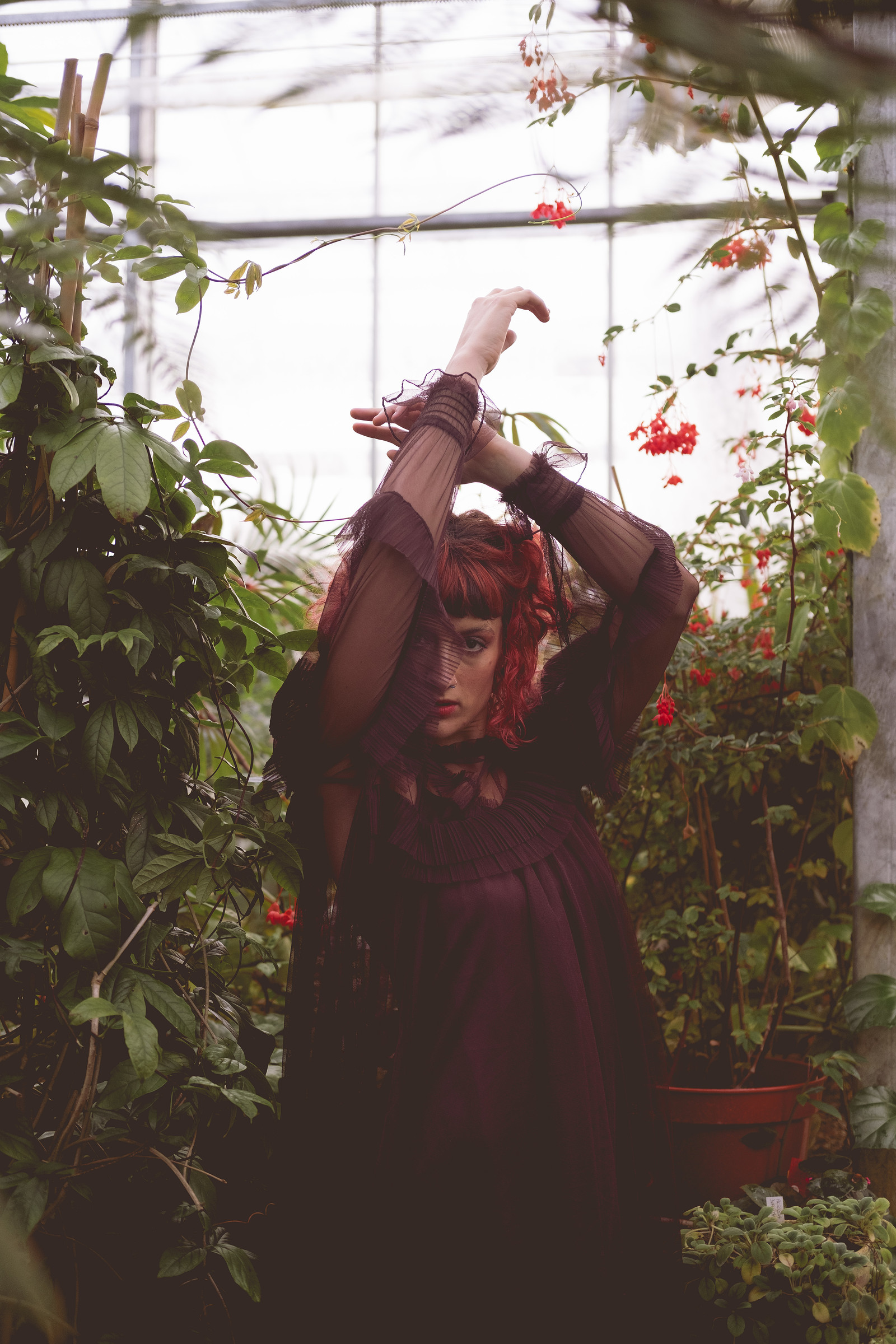 Emily Magpie Album Launch in Indoor Forest at Loco Klub