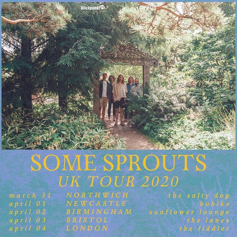 Some Sprouts at The Lanes