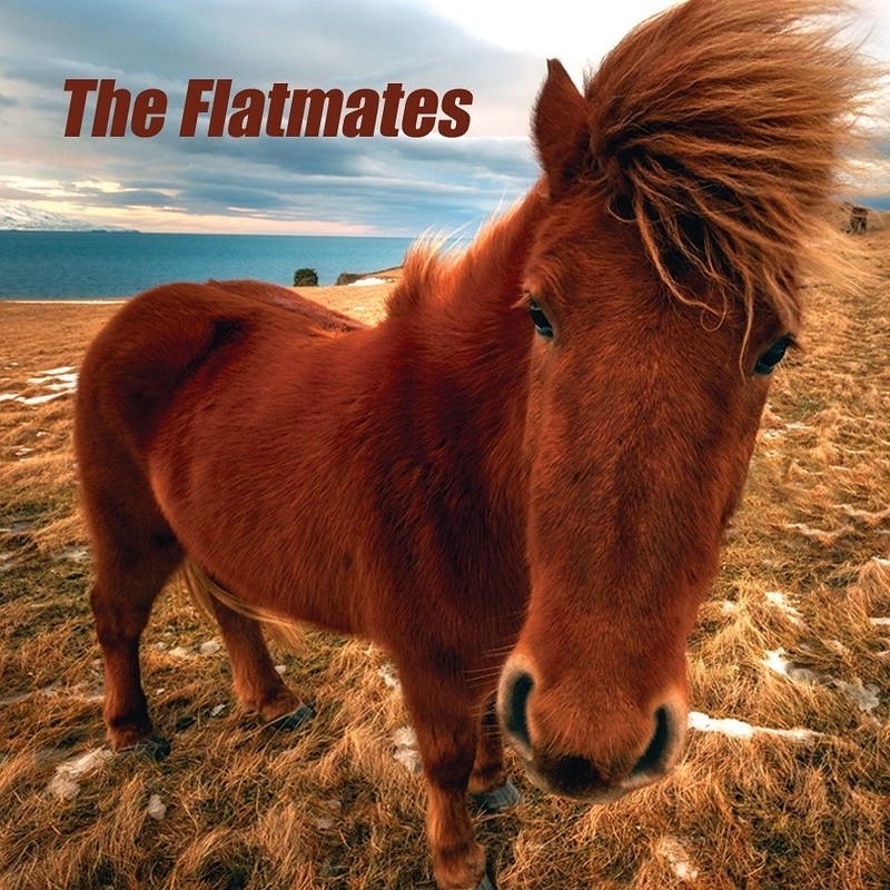 The Flatmates at The Thunderbolt