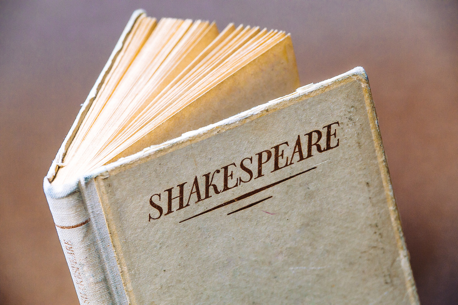 Grief in Shakespeare: A Lewis Fry Memorial Lecture at Uni of Bristol (Humanities Lecture Theatre, 7 Woodland Rd)