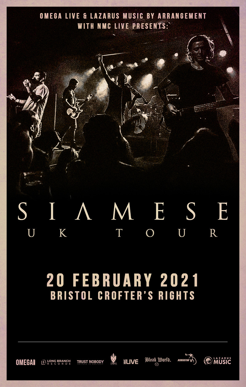 Siamese at Crofters Rights
