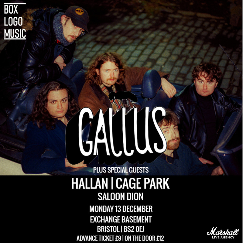 Gallus at Exchange
