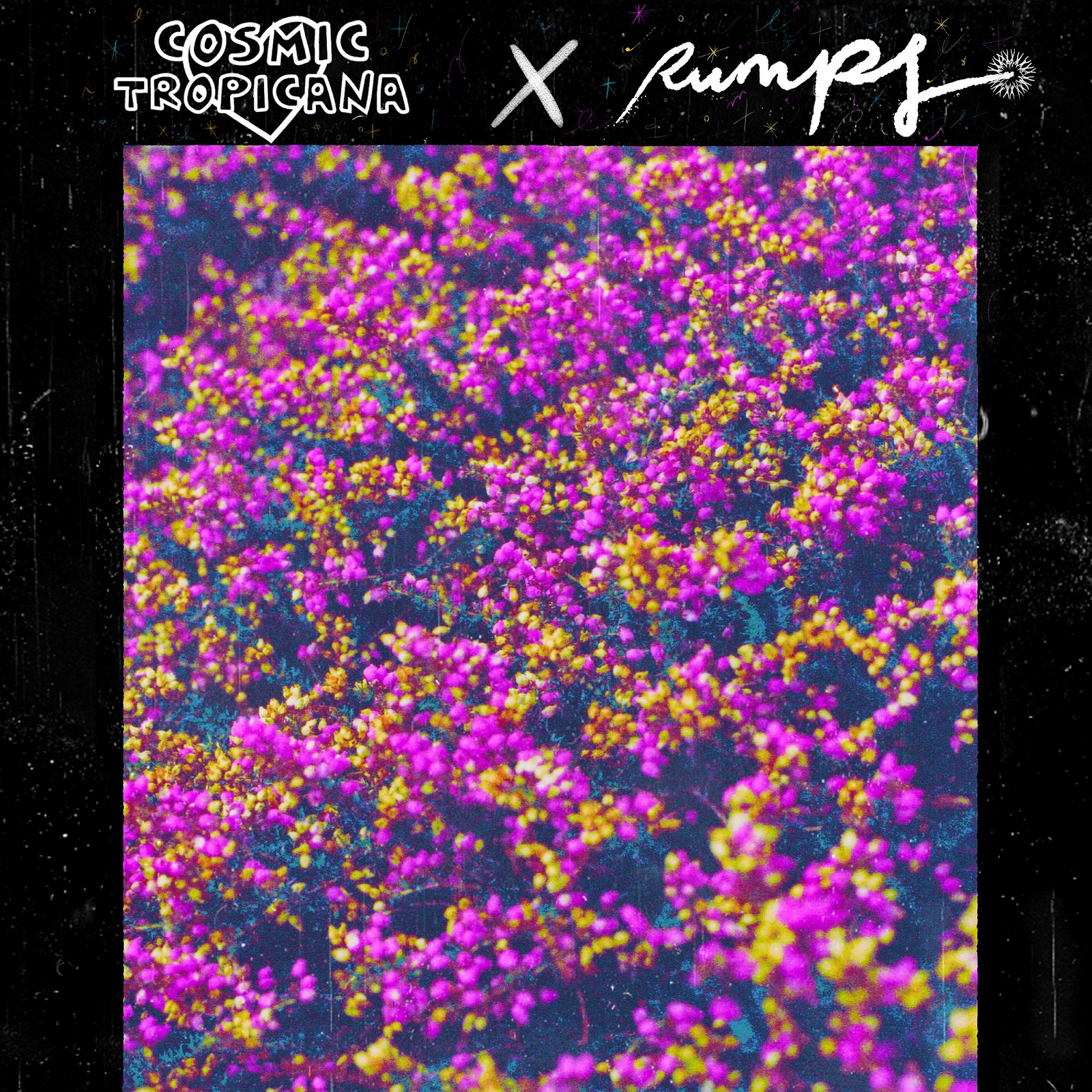 Cosmic Rumpf w/ England v Scotland footy at Crofters Rights
