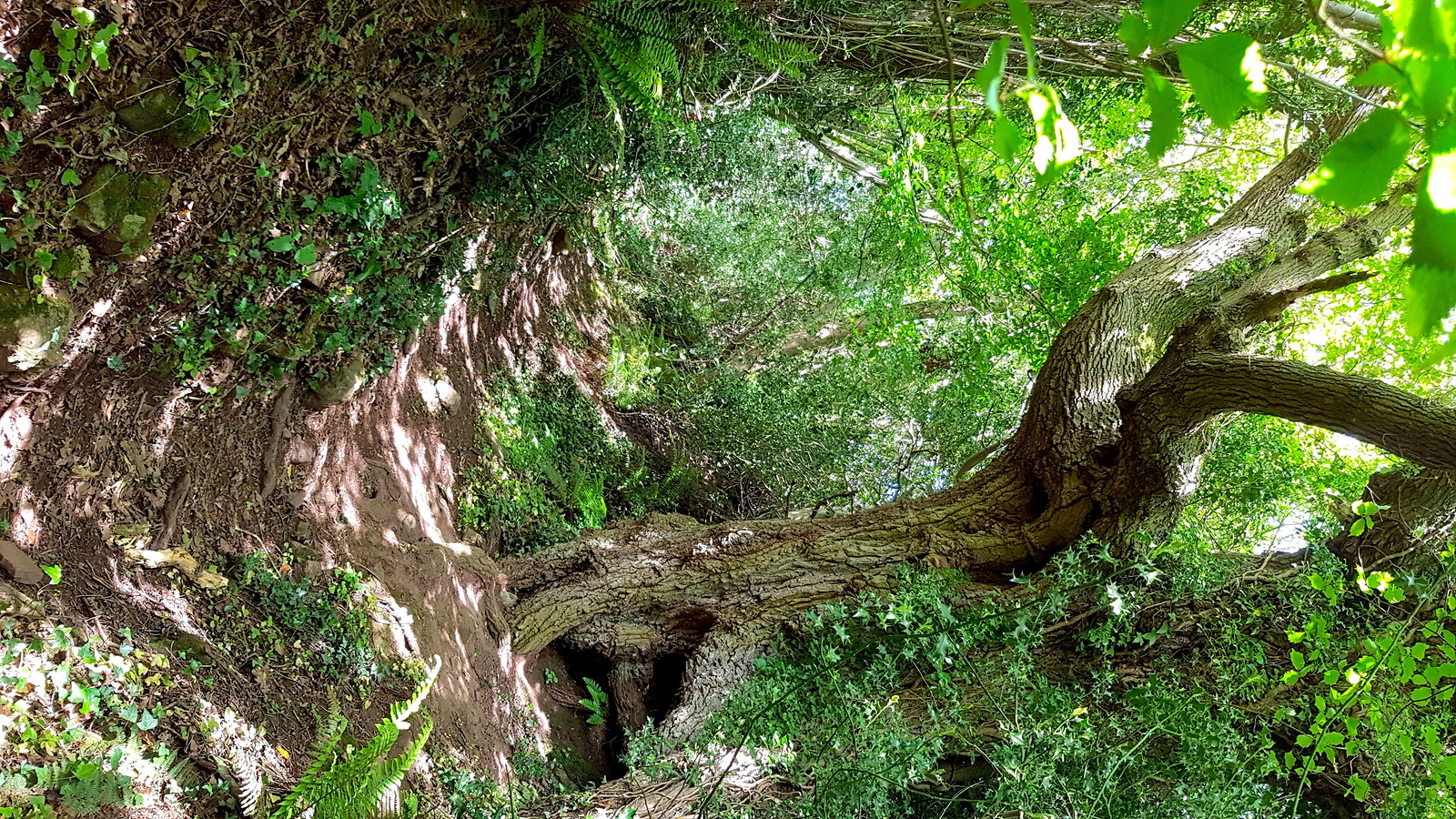 Full Moon Walks - June's walking guide at Outside