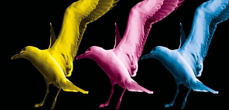 The Three Seagulls at Bristol Old Vic