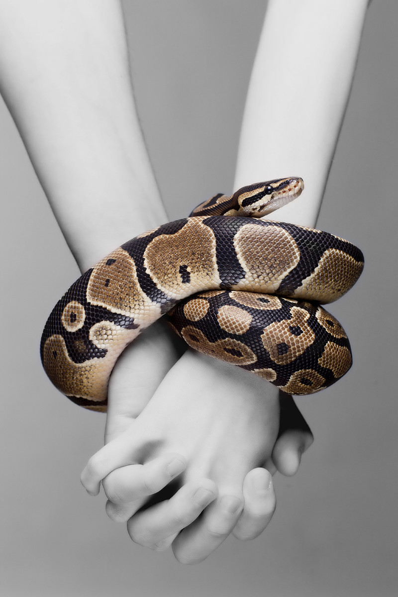 THE GIRL & THE SNAKE WITCH at The Cube