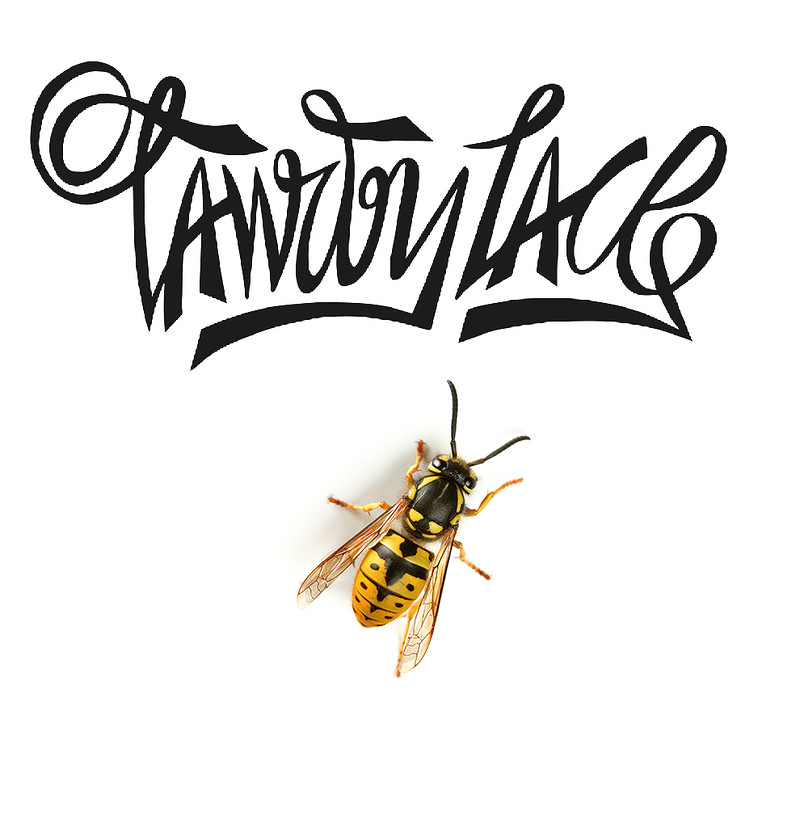 The Wasp at Alma Tavern and Theatre