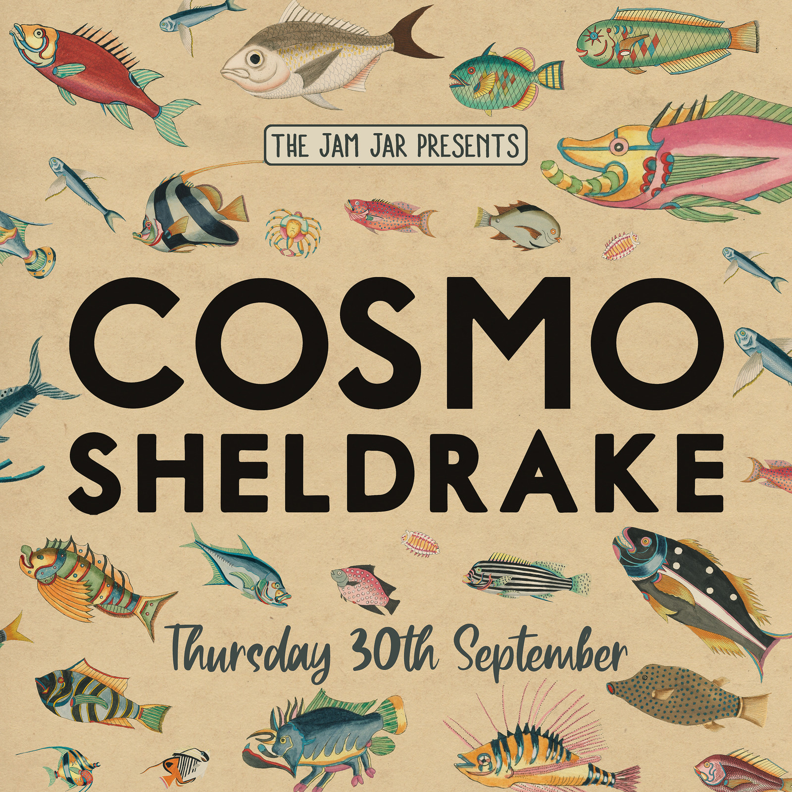 Cosmo Sheldrake at Jam Jar