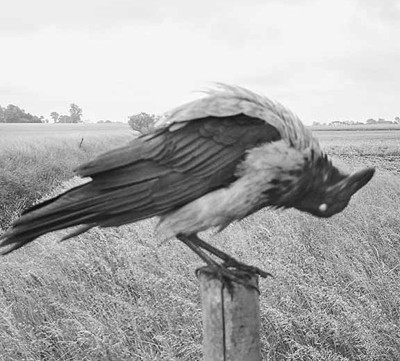 Coming Up For Air: Stephen Gill – A Retrospective at Arnolfini