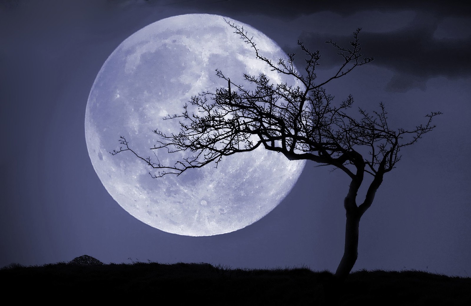 A New Way of Being: Monthly Full Moon Circle at Crafts & Curious, The Galleries, BS1