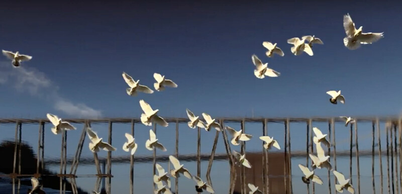 Bristol's Secret Landscape at Bristol’s Secret Landscape