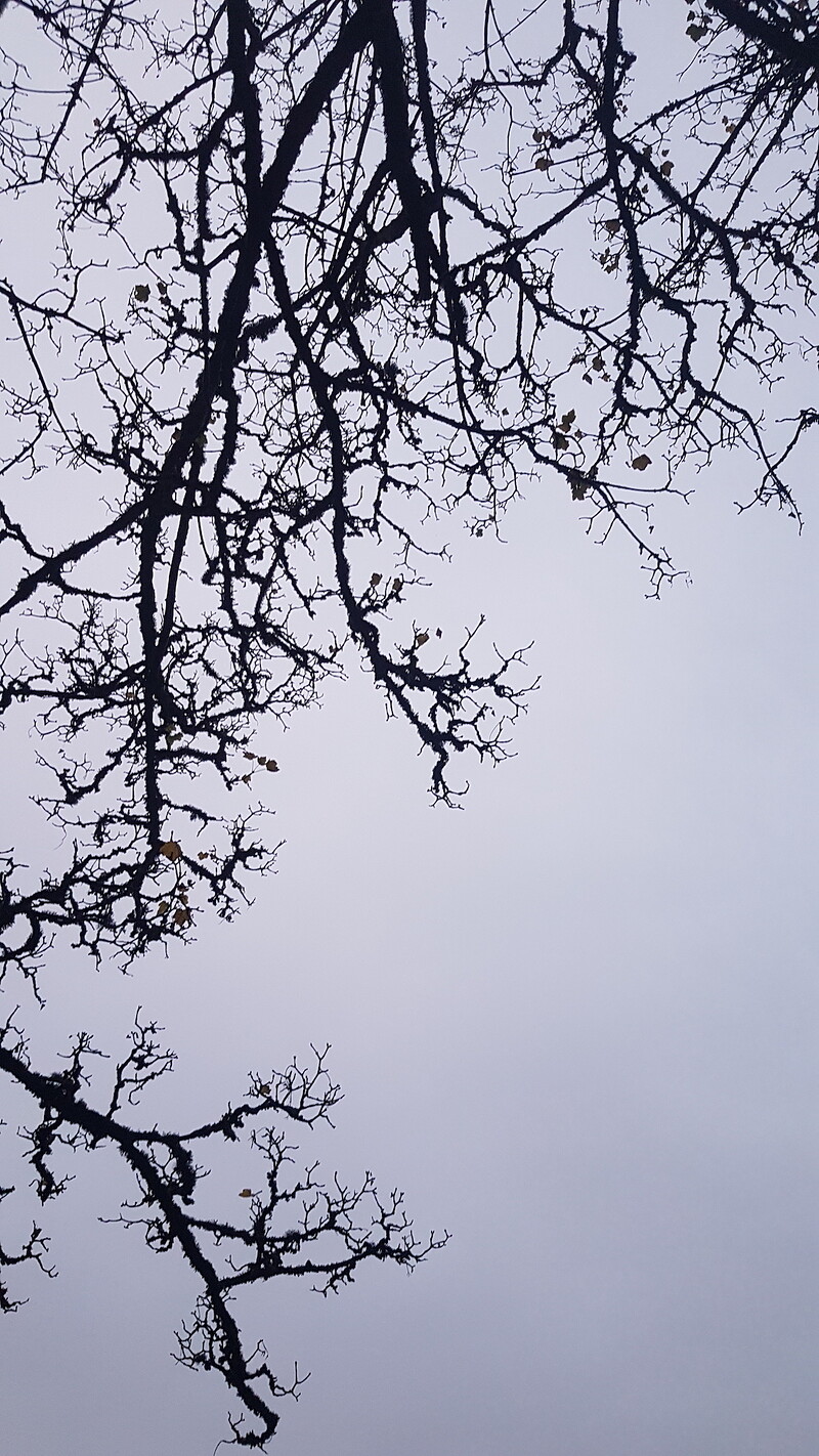Full Moon Walks - December's walking guide at Outside
