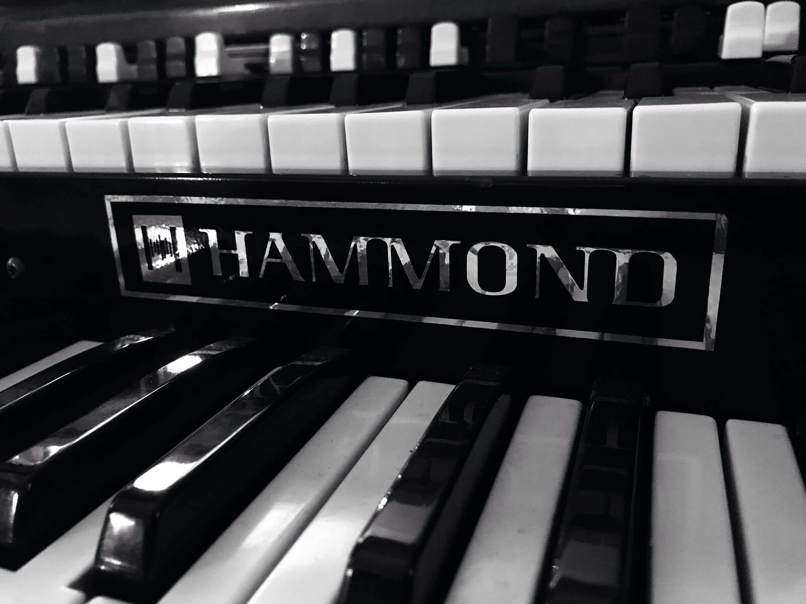 Guy Shotton Organ 4tet//Jazz at the Stag at The Stag And Hounds