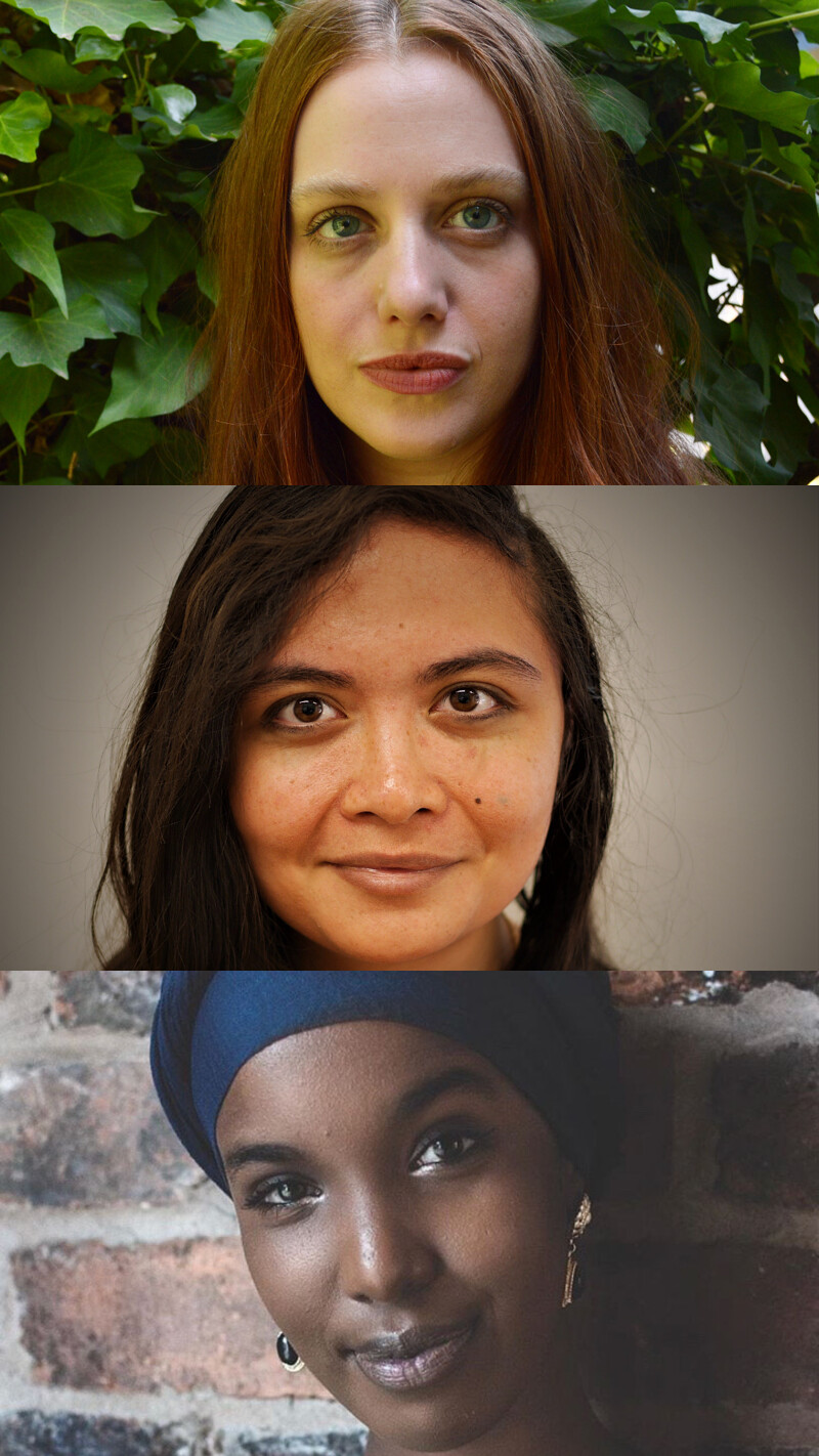 Women Poets Network | The Rebecca Swift Foundation at Zoom