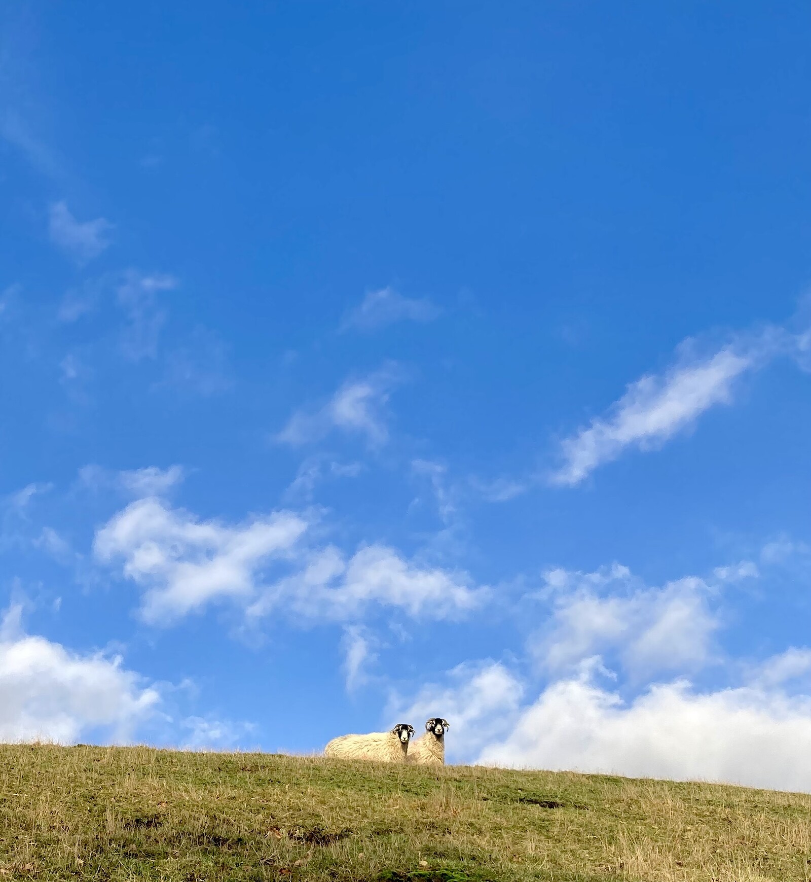 Prepare To Stop at The Cube