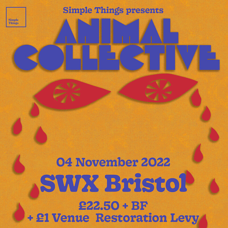 Animal Collective at Electric Bristol