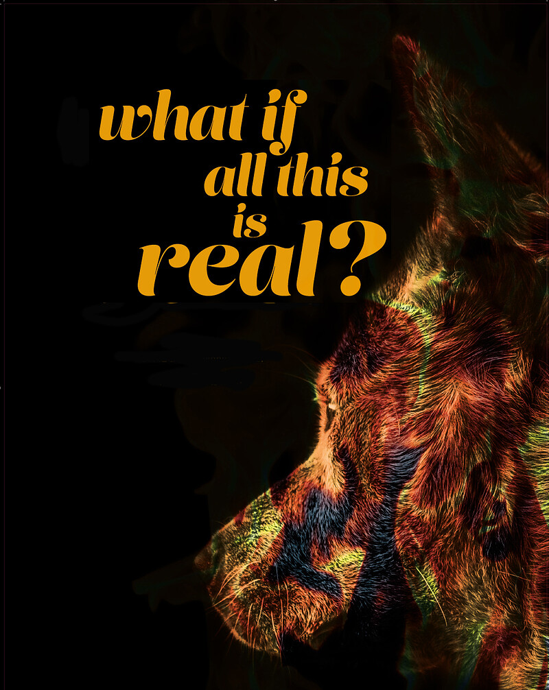 What If All This Is Real at Alma Tavern and Theatre