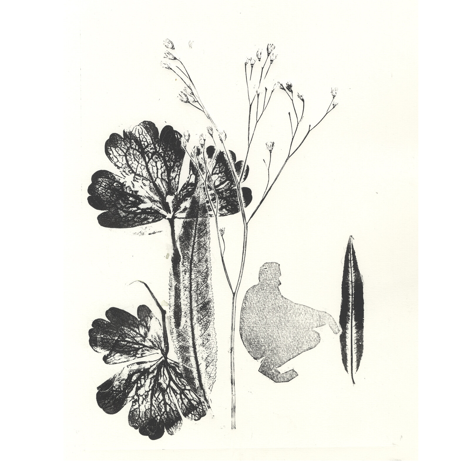 Botanical Printmaking at Grow Wilder