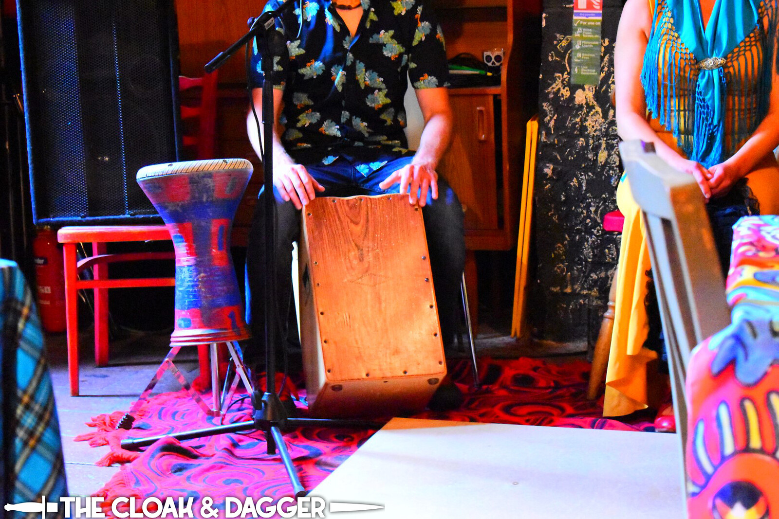 Sophie Munger & Emmy the Harp at The Cloak and Dagger