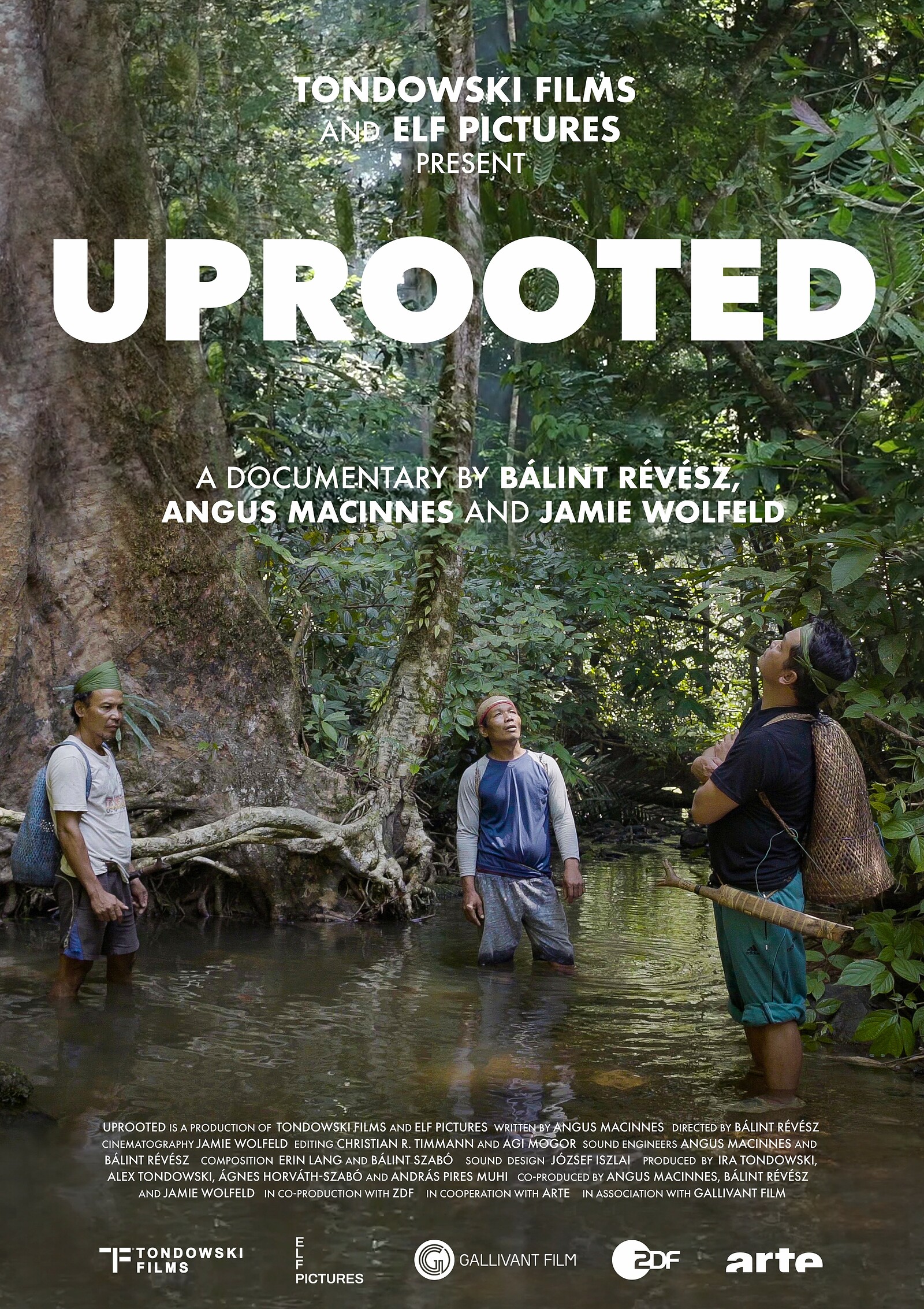 Uprooted: The Olympic Tribe at The Cube