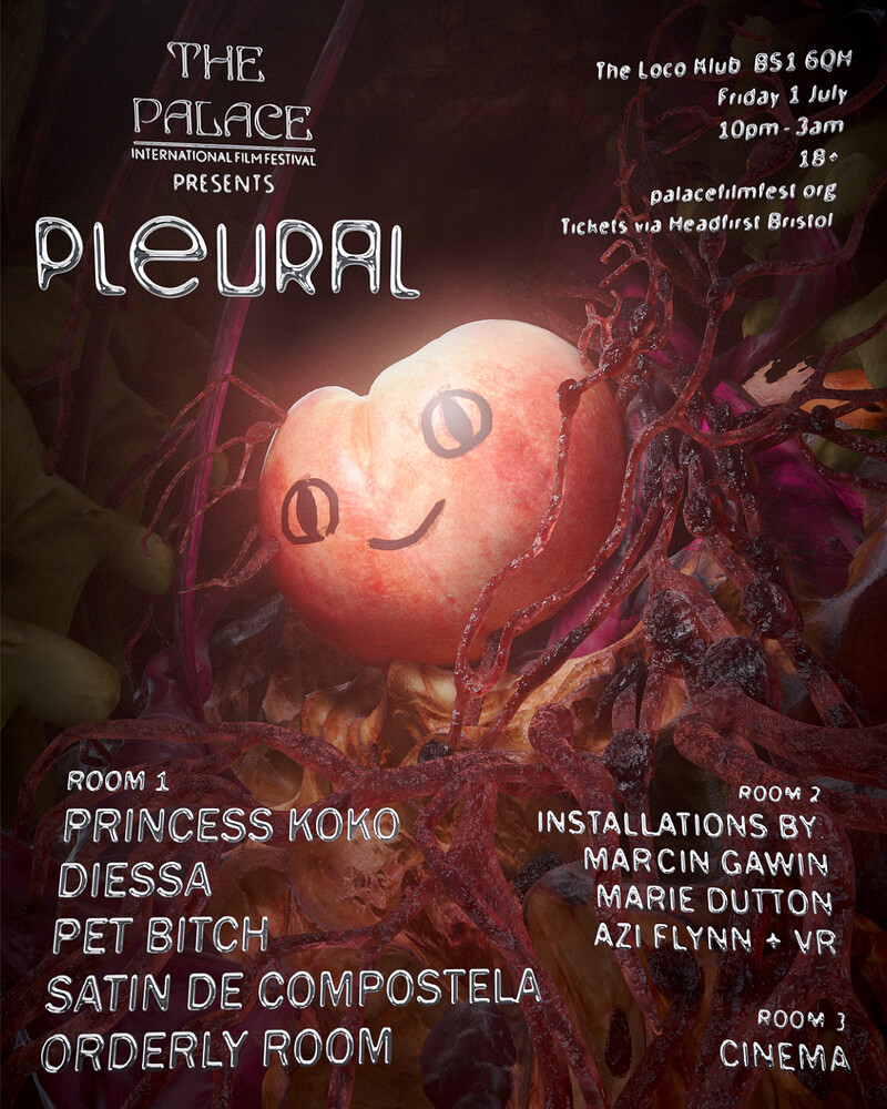Pleural: The Palace Fundraiser tickets otd at Loco Klub
