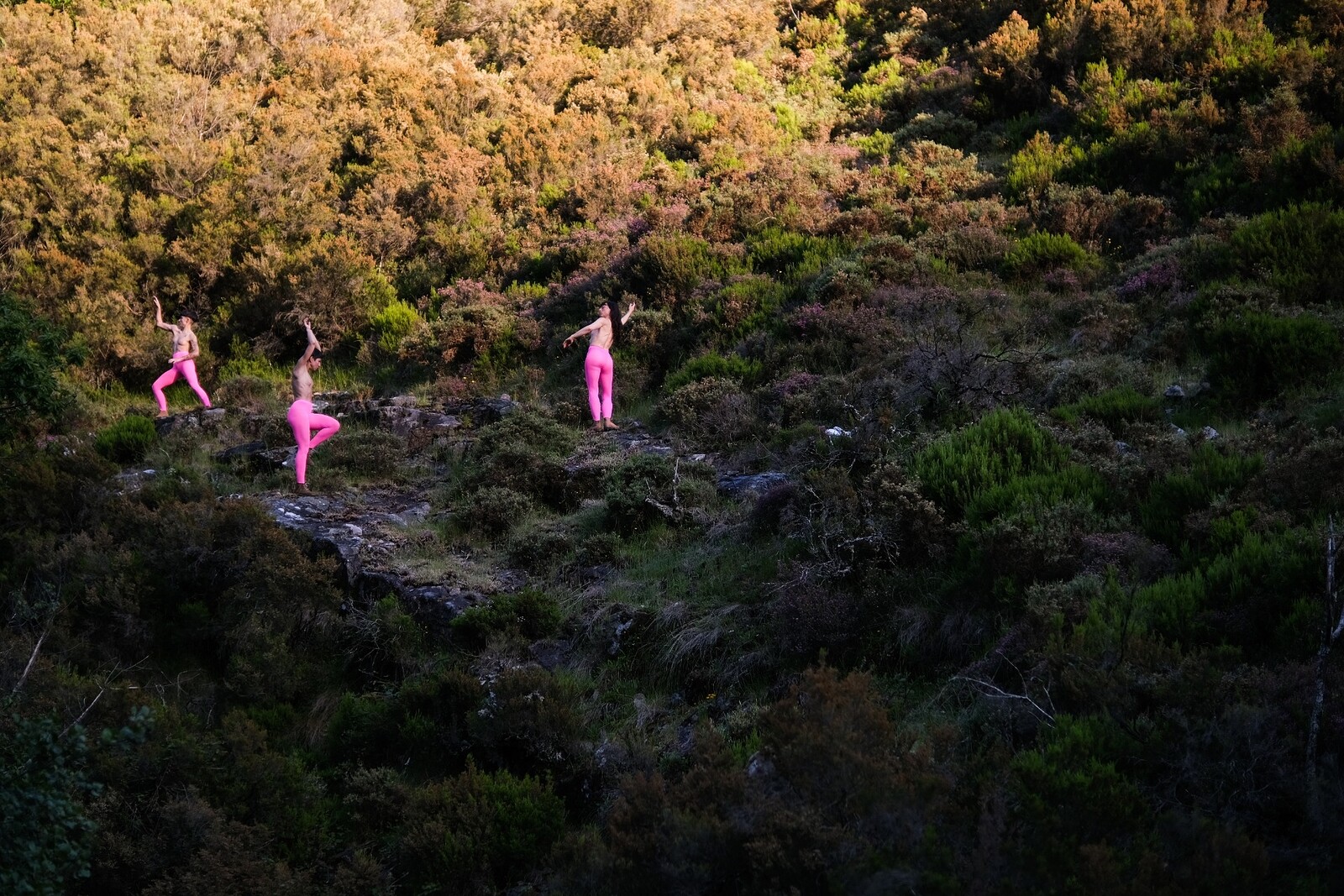Our Skin : Film and Performance at The Cube