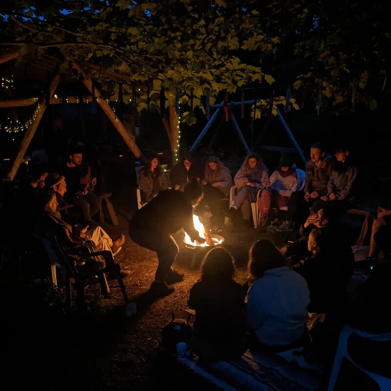 Wander Gather: Summer Solstice at Springfield Allotments
