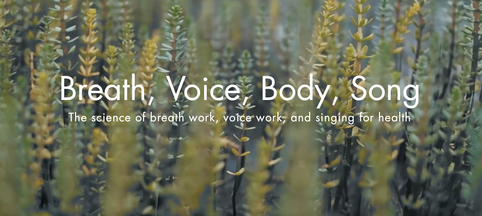 Holistic Singing Workshops for Health and Wellness at St Annes Church, St Leonard's Rd, Eastville, Bristol BS5 6JN