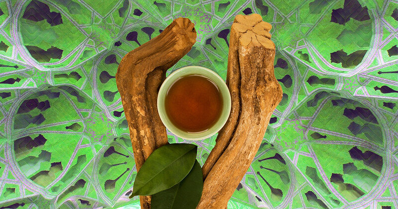The Science of DMT & Ayahuasca with Dr. David Luke at Hen & Chicken