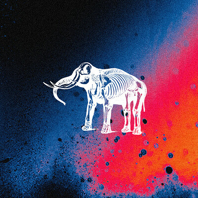 Elephant Sessions at Lost Horizon
