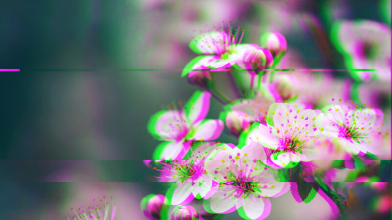 Birmingham Contemporary Music Group - Blossoming at Arnolfini