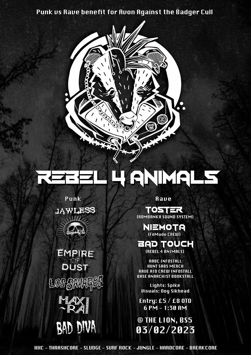 PUNK VS RAVE benefit night at The Lion, BS5