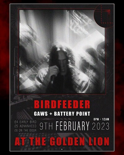 BIRDFEEDER at The Golden Lion