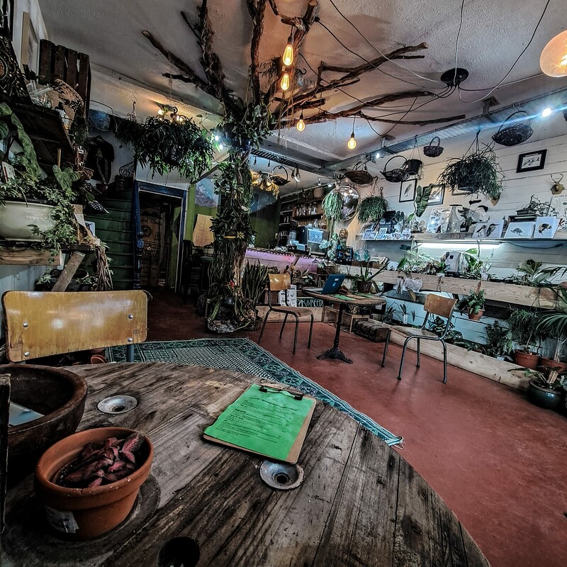 Plant and seed swap at Oak and Reed