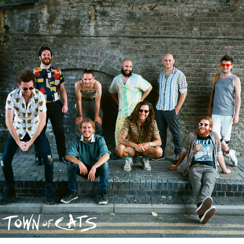 Town Of Cats at Mr Wolfs