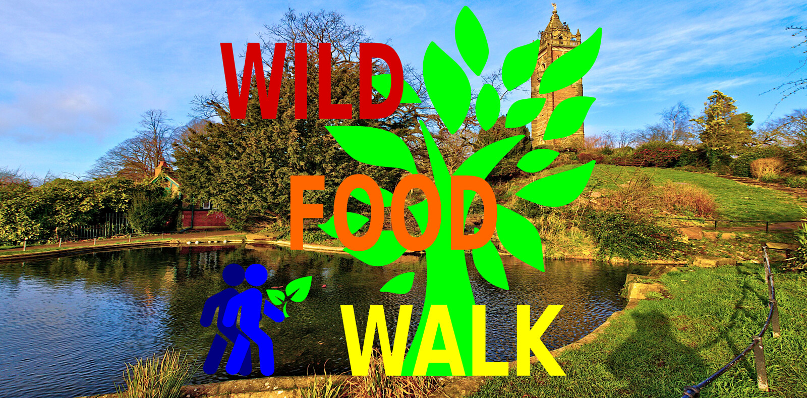 Brandon Hill Wild Food Foraging/ Forager Walk at Cabot Tower, Brandon Hill Park