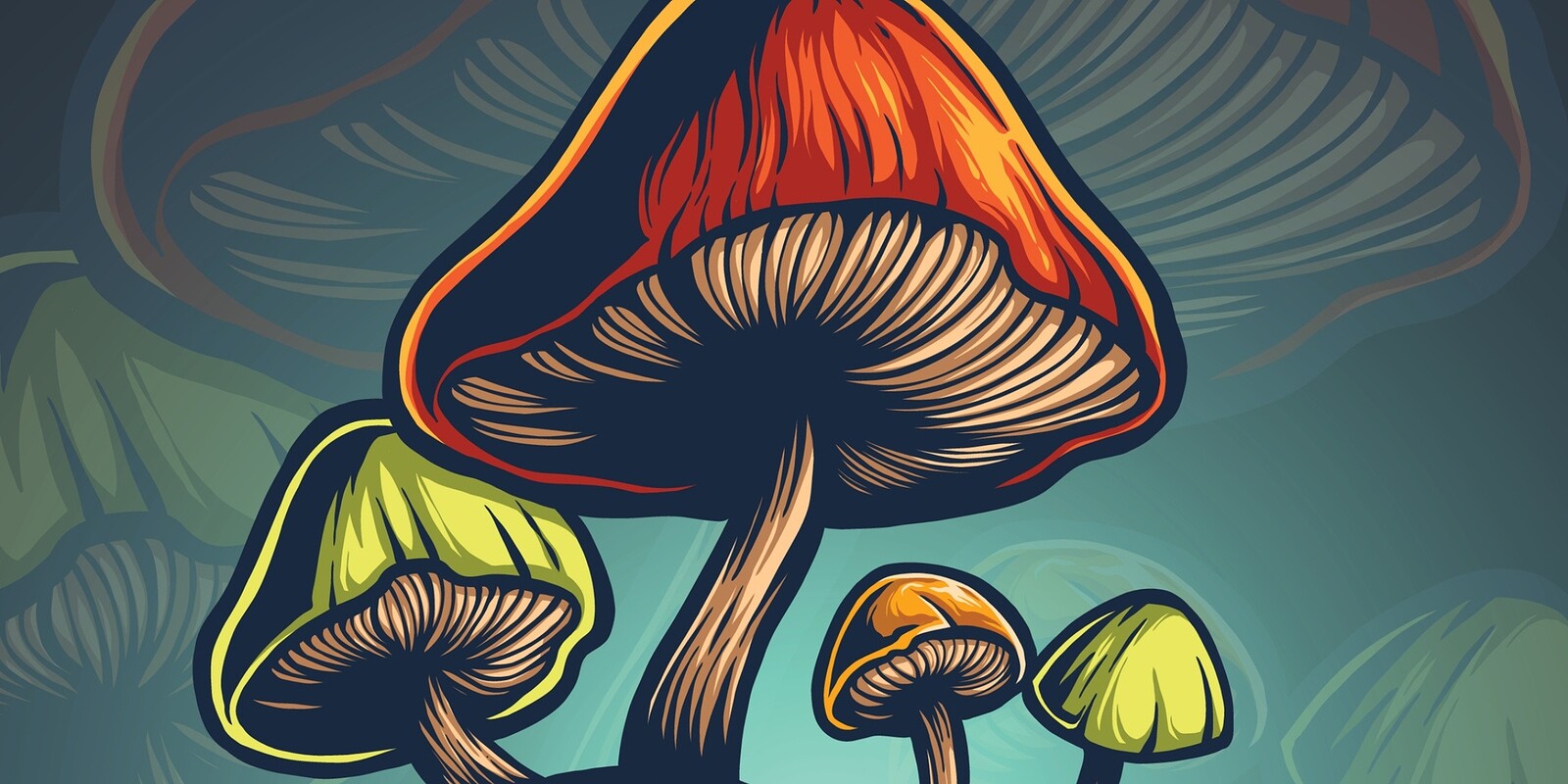 Marvellous Mushrooms: The Science of Fungi at Hen & Chicken