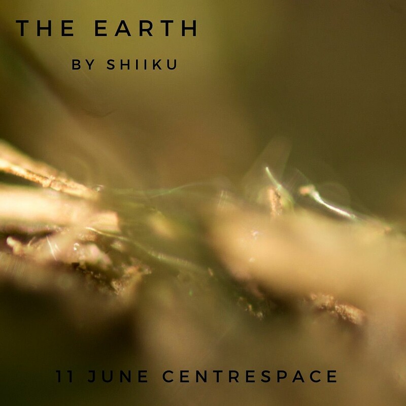 THE EARTH at Centrespace Gallery