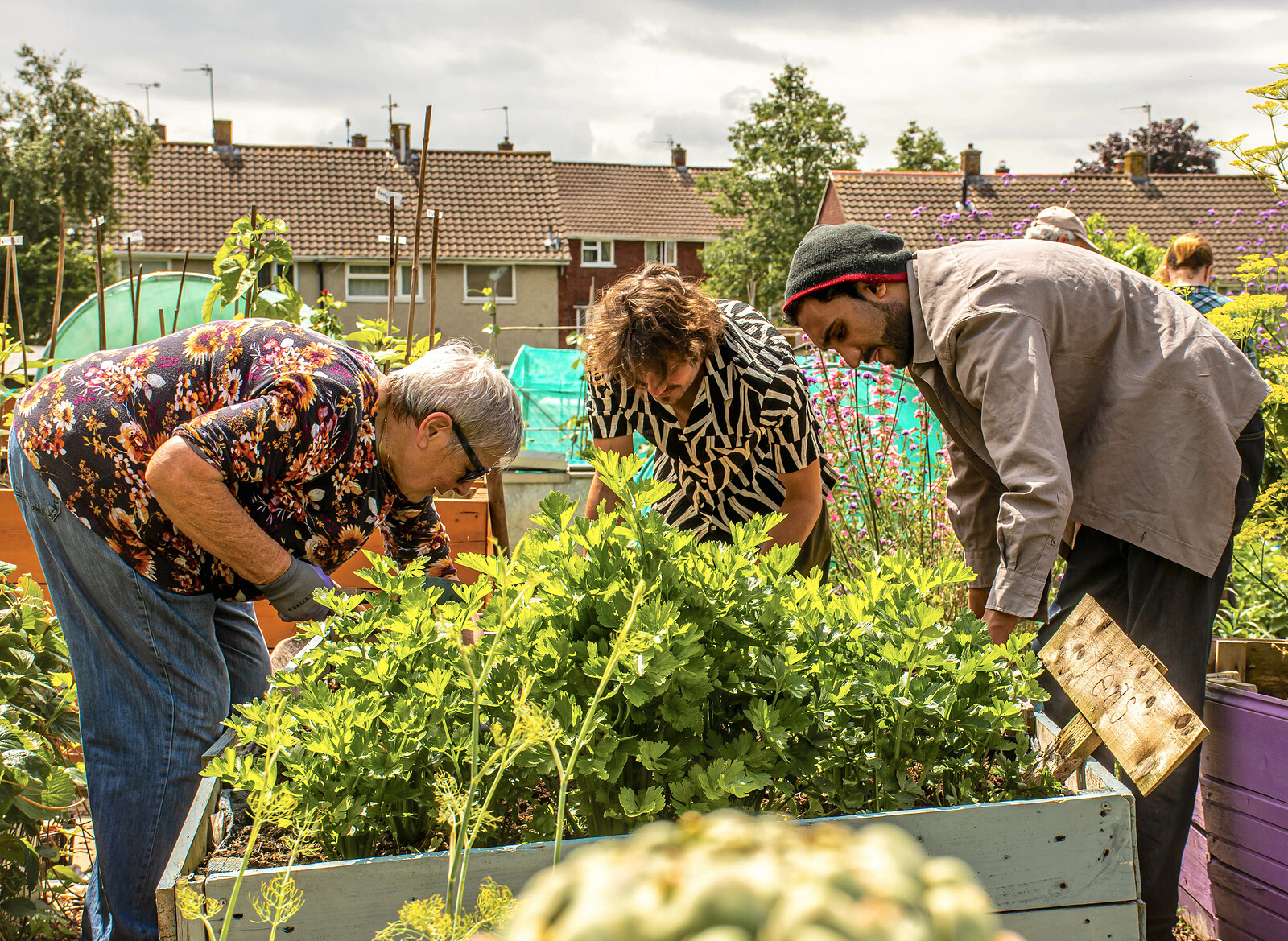 Open Day Bristol's 1st dementia-friendly allotment at Charlton Rd Allotments, Brentry BS10 6JZ