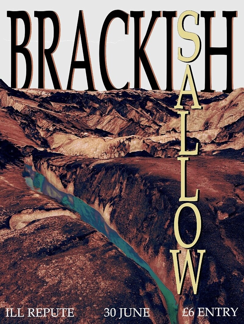 The Brackish & Sallow at The Ill Repute