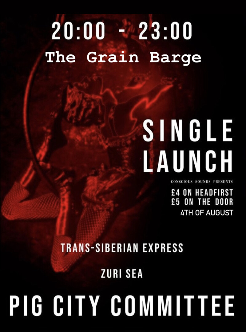 Pig City Committee- Vodaphone Single Launch at The Grain Barge