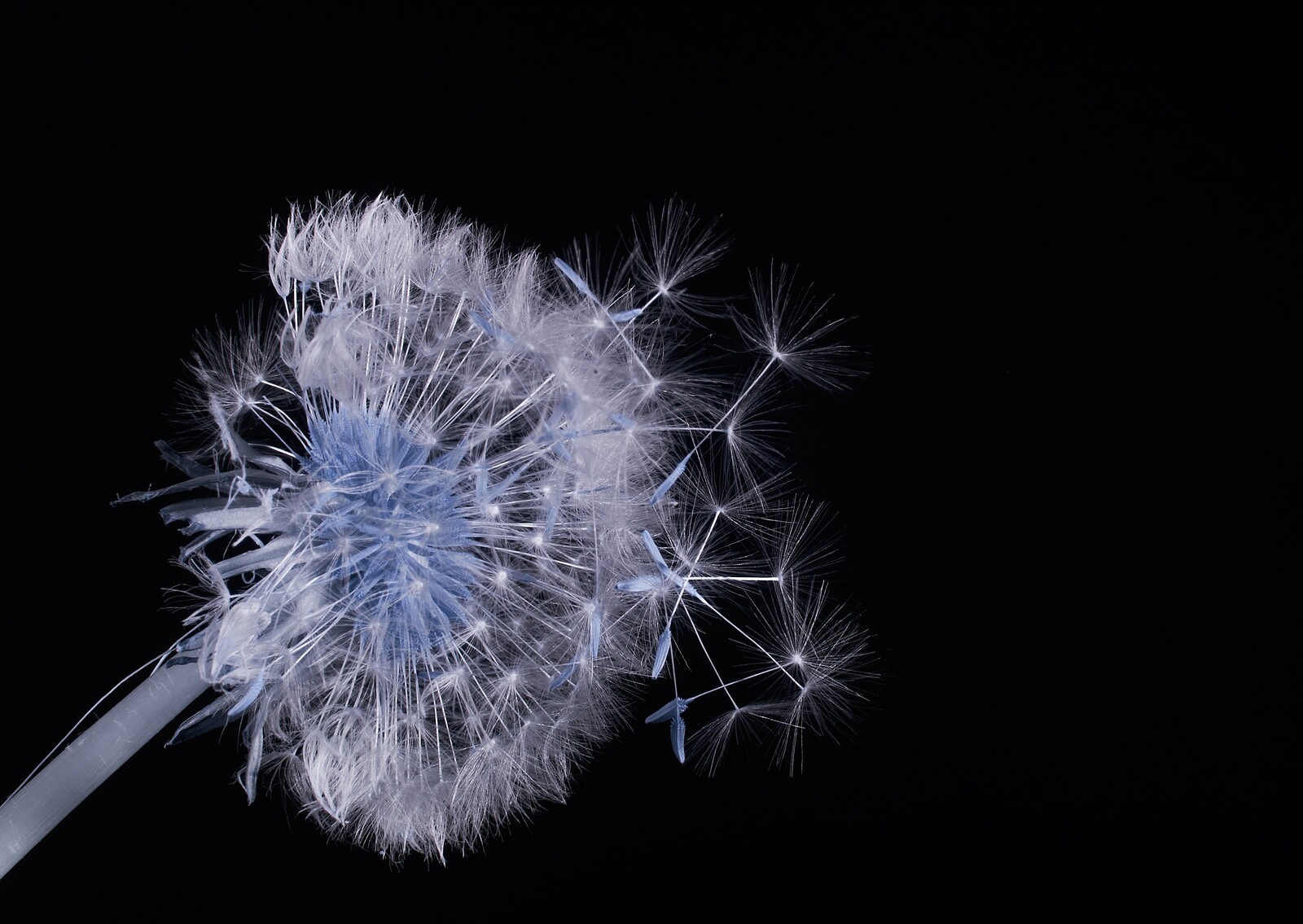 Marine & Natural History Photography: A Graduate E at Centrespace Gallery