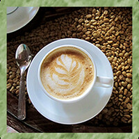 Nicaraguan Revolutionary Coffee event at Sparks Bristol, 78 Broadmead, BS1 3DS