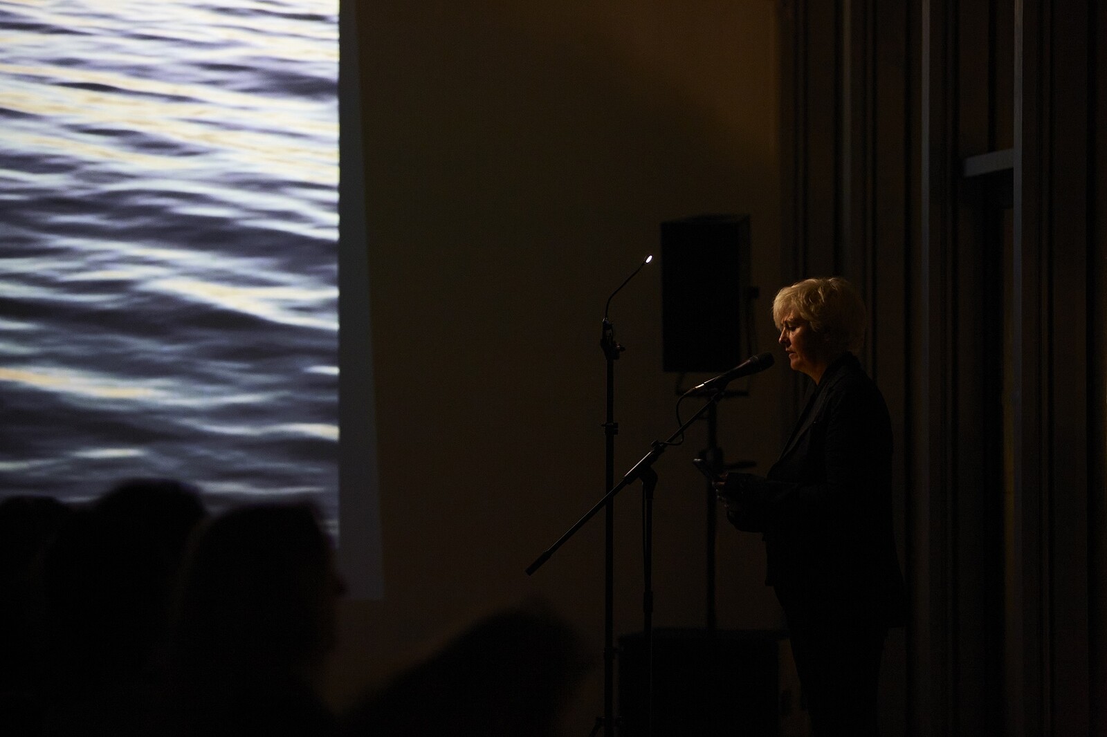Caroline Bergvall: NOTTSONG at Arnolfini