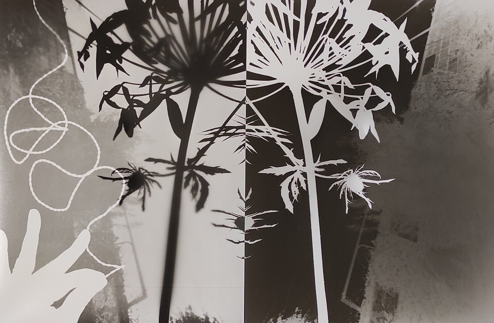 Pinhole Photography at Bristol Folk House