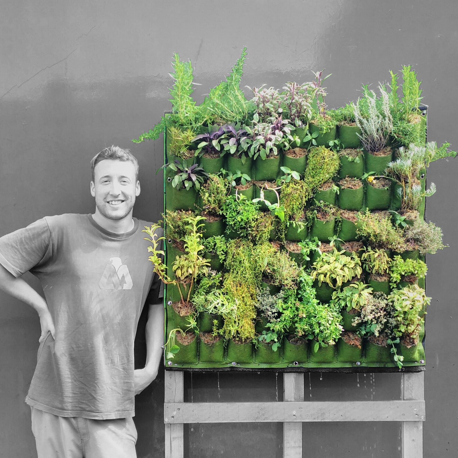 Introduction to Vertical Gardening at Bristol Folk House